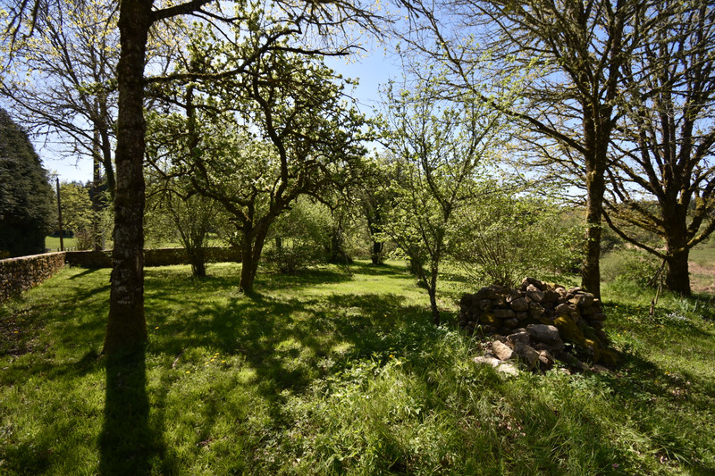 French property for sale in Viam, Corrèze - €318,000 - photo 8