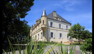 Black Perigord - 19th Century Chateau with 23 acres private grounds near unesco world heritage site.