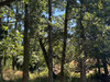 French property for sale in Guillac, Morbihan - €220,000 - thumbnail 9