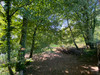 French property for sale in Vigeois, Corrèze - €36,600 - thumbnail 8