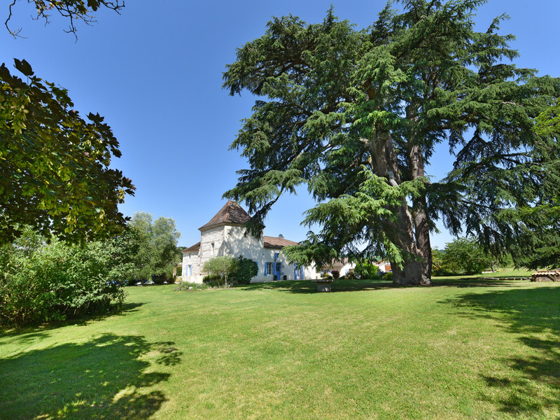 chateau for sale in Aquitaine (Nouvelle-Aquitaine)