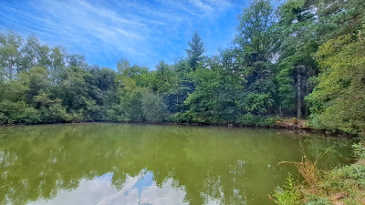 French property for sale in Champniers-et-Reilhac, Dordogne - €180,000 - photo 6