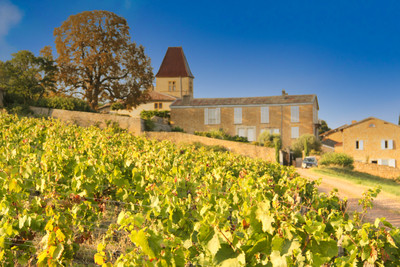 Chateau à vendre à Pommiers, Rhône, Rhône-Alpes, avec Leggett Immobilier