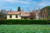 French property for sale in Mauzac, Haute-Garonne - €270,000 - thumbnail 9