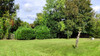 French property for sale in Poursac, Charente - €229,995 - thumbnail 14