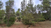 French property for sale in Saint-Vincent-de-Barbeyrargues, Hérault - €755,000 - thumbnail 9