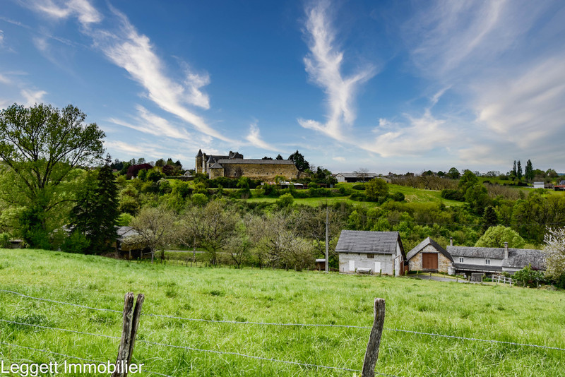 French property for sale in Terrasson-Lavilledieu, Dordogne - €409,500 - photo 6