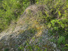 French property for sale in Bertric-Burée, Dordogne - €16,600 - thumbnail 14