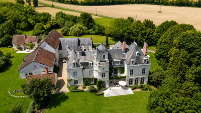 chateau for sale in Vienne