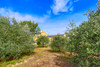 French property for sale in Saint-Saturnin-lès-Apt, Vaucluse - €766,000 - thumbnail 9