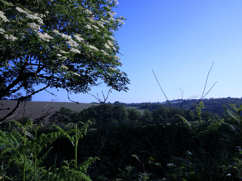 French property for sale in Landeleau, Finistère - €15,000 - photo 1