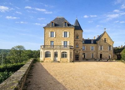 chateau for sale in Aquitaine (Nouvelle-Aquitaine)