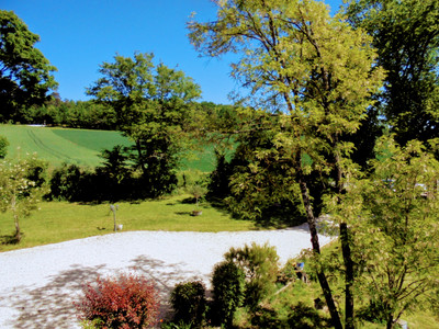French property for sale in Saint-Séverin, Charente - €477,000 - photo 2