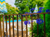 French property for sale in Montembœuf, Charente - €583,000 - thumbnail 9