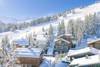 chalet for sale in Savoie