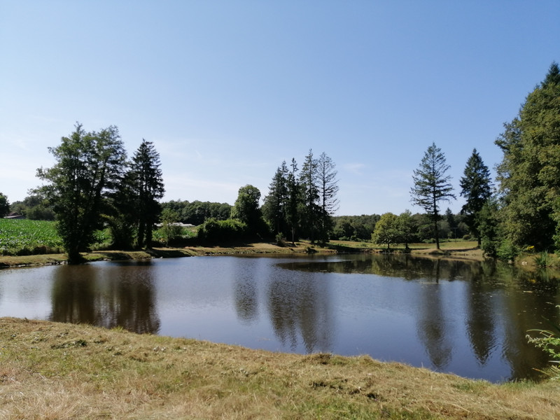 French property for sale in Vayres, Haute-Vienne - €77,000 - photo 5