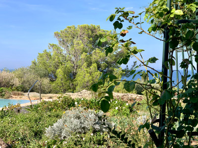Villa with Infinity pool - Sea view - Great location - Algajola | North Corsica