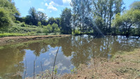 Lacs à vendre à Tinchebray-Bocage, Orne - 30.000 € - photo 3