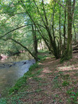 French property, houses and homes for sale in Lanouaille Dordogne Aquitaine