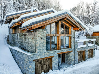 Ski property for sale in  - 3 150 000 € - photo 1
