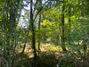 French property for sale in Vigeois, Corrèze - €36,600 - thumbnail 8