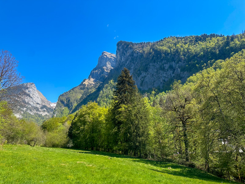 French property for sale in Samoëns, Haute-Savoie - €620,000 - photo 1