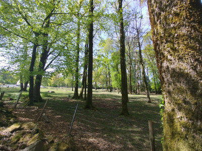 French property for sale in Romagny Fontenay, Manche - €36,600 - photo 6