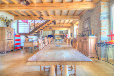 SPLENDID 18th-CENTURY MAISON-DE-MAÎTRE + NEW POOL + OUTBUILDINGS 760m² + MOUNTAIN VIEWS + IDEAL B&B/GÎTES...