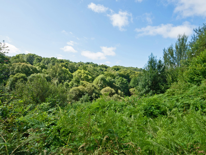 French property for sale in Payzac, Dordogne - €41,600 - photo 1