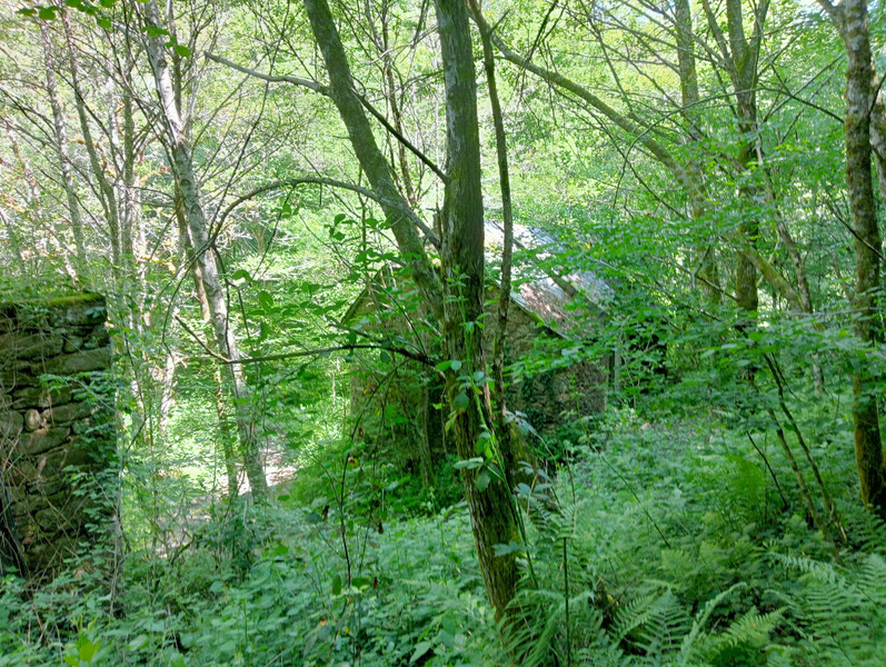 French property for sale in Espagnac, Corrèze - €48,750 - photo 12
