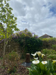 Maison à vendre à Saint Privat en Périgord, Dordogne - 108.900 € - photo 13