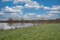 Lacs à vendre à Connerré, Sarthe - 185 760 € - photo 5