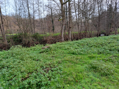French property for sale in Saint-Jeanvrin, Cher - €283,550 - photo 7