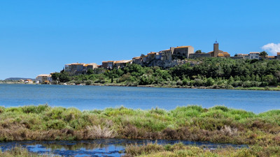 French property for sale in Bages, Aude - €295,000 - photo 14