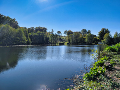 French property for sale in La Croisille-sur-Briance, Haute-Vienne - €124,260 - photo 14