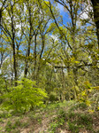 Terrain à Le Mené, Côtes-d'Armor - photo 5