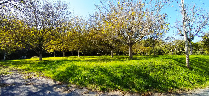 French property for sale in Chantérac, Dordogne - €246,100 - photo 2