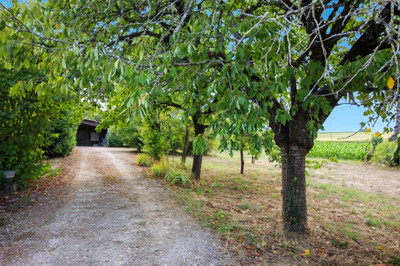 French property for sale in Ligné, Charente - €163,080 - photo 2