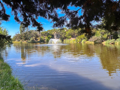 French property for sale in Villeneuve-Loubet, Alpes-Maritimes - €1,095,000 - photo 5