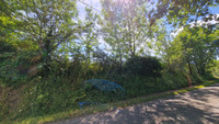 Propriété à vendre à Beaupouyet, Dordogne - 36 600 € - photo n°15