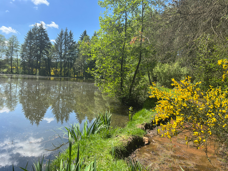 French property for sale in Saint-Priest-les-Fougères, Dordogne - €145,000 - photo 10