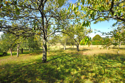 French property for sale in Montbron, Charente - €148,240 - photo 8