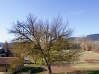 Propriété à vendre à Castelnaud-la-Chapelle, Dordogne - 235 000 € - photo n°10