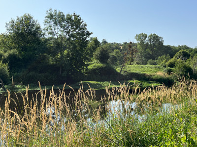 French property for sale in Lessac, Charente - €439,400 - photo 6