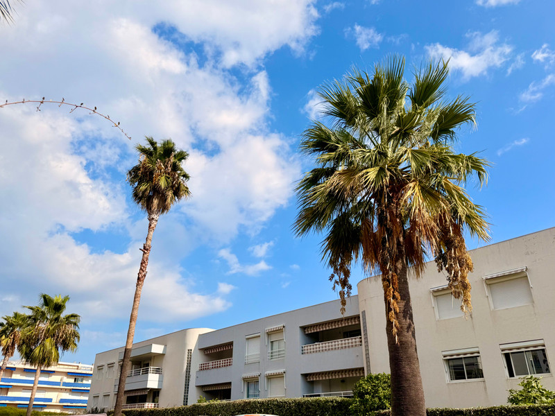 French property for sale in Antibes, Alpes-Maritimes - €485,000 - photo 4