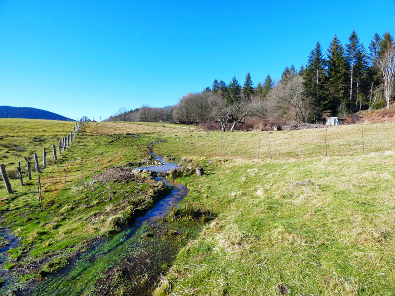 French property for sale in Égletons, Corrèze - €304,950 - photo 11