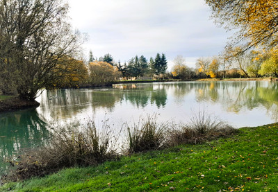 Lacs à vendre à Gennes-Longuefuye, Mayenne, Pays de la Loire, avec Leggett Immobilier