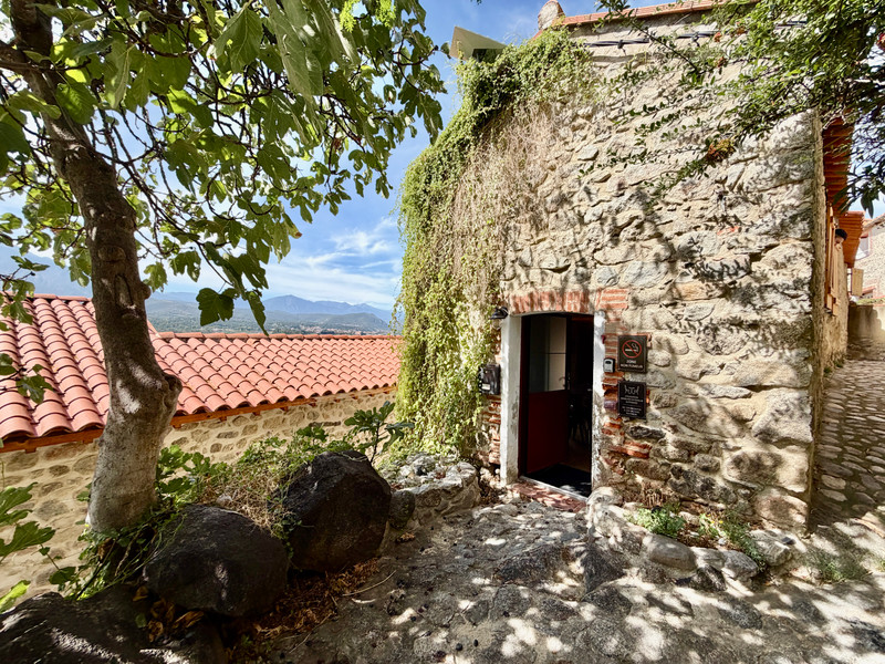 French property for sale in Eus, Pyrénées-Orientales - €229,000 - photo 1
