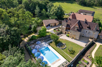 French property for sale in Peyzac-le-Moustier, Dordogne - €940,000 - photo 2