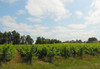 French property for sale in Saint-Ciers-de-Canesse, Gironde - €646,600 - thumbnail 14